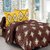Welhouse Cotton Floral Brown Double Bedsheet with 2 Contrast Pillow Covers(TC-129)