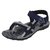 Blue  Grey Floaters