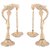 SheelaS  Gold Finish, Yellow Coloured, Brass Oil Lamp Code NoSh972