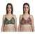 ChileeLife Comfortable Cotton Semi Coverage Solid Bras (Pack of 2)