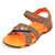 Elligator Stylish Floater With Stylish Elligator Wallet And Wayfarer