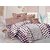 Valtellina Cotton Polka White Double Bedsheet with 2 Contrast Pillow Covers(TC-129)