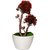 Bonsai Preety Lives Of Life Artificial Flower Plant With Free Pot