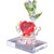 AnasaDecor Crystal heart With Rose Showpiece With Gold Plated
