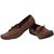 Black Field Hill Brown loafers