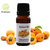 Apricot Oil Pure and Therapuetic Grade 10 ML