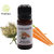 Carrot Seed Oil Pure and Natural Therapeutic Grade 10 ML