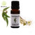Eucalyptus Essential Oil Pure and Natural Therapeutic Grade 10 ML