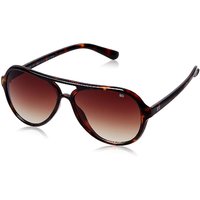 MTV Sunglass (MTV-120-C4)