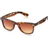 MTV Sunglass (MTV-122-C4)