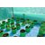 HDPE Grow bag 5 nos Size 12 x 12 Inch ( 1 x 1 feet) Terrace/Kitchen Garden