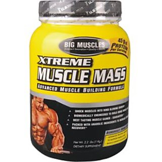 Big Muscle Xtreme Muscle Mass Chocolate 1Kg