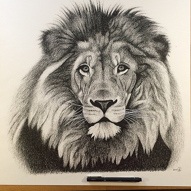 Original Lion Drawing, Drawing by Hiten Mistry | Artmajeur