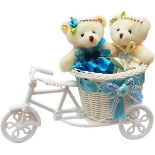 skyblue teddy