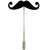 Verceys Black Mustaches Lapel Pin Brooch