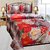 Homefab India 3d Double Bed Sheet With 2 Pillows Cover (DREAMS117)
