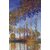 The Museum Outlet - Poplars in the Epte, sunset by Monet - Poster Print Online Buy (24 X 32 Inch)