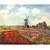 The Museum Outlet - Tulips of Holland by Monet - Poster Print Online Buy (24 X 32 Inch)