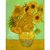 The Museum Outlet - Twelve Sunflowers - Poster Print Online Buy (24 X 32 Inch)