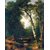 The Museum Outlet - A creek in the woods by Asher Brown Durand - Poster Print Online Buy (24 X 32 Inch)