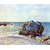 The Museum Outlet - Bay of long-country with rock by Sisley - Poster Print Online Buy (24 X 32 Inch)
