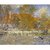 The Museum Outlet - The Duck Pond, 1873 - Poster Print Online Buy (24 X 32 Inch)