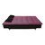 Adorn India Purple Solid Wood Sofa cum Bed