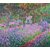 The Museum Outlet - Artists Garden by Monet - Poster Print Online Buy (24 X 32 Inch)