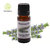 Rosemary Daily Care Essential Oil Pure  Natural For All Skin Types 10ml (Set of 1)