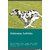 Dalmatian Activities Dalmatian Activities (Tricks, Games  Agility) Includes