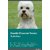 Dandie Dinmont Terrier Activities Dandie Dinmont Terrier Activities (Tricks, Games  Agility) Includes