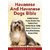Havanese And Havanese Dogs Bible
