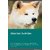 Akita Inu Activities Akita Inu Activities (Tricks, Games  Agility) Includes