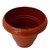 Plastic Brown Bonsai Gardening Pot (12 Qty)