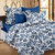 Story@Home 186 TC 100 Cotton Blue 1 Double Bedsheet With 2 Pillow Cover