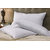 Vacum Pack 2 Cotton Pillow - 17x27 Inches
