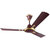 Anchor Ceiling Fan in best prize