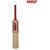 MRF Prodigy Size 5 Kashmir Willow Cricket Bat  ( 800 - 1100 g)