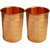 Artandcraftvilla Set of 2 Copper Water Glass 300 ML for Drink Water Gift Item