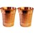 Artandcraftvilla Set of 2 Copper Water Glass 200 ML for Drink Water Gift Item