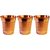 Artandcraftvilla Set of 3 Copper Water Glass 200 ML for Drink Water Gift Item