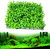 Magideal Artificial Aquatic Green Grass Plant Turf Lawn Aquarium Fish Tank Landscape