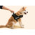 Magideal Comfortable Medium Large Dog Pet Adjustable Vest Chest Harness Black Size L