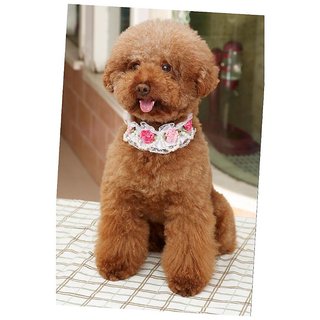 Magideal Pet Dog Cat Puppy Imitation Pearls Necklace Flower Lace Collar Belt White M