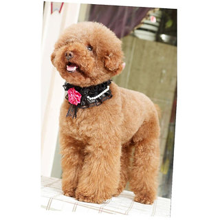 Magideal Adjustable Pet Dog Cat Puppy Lace Flower Necklace Collar Neck Strap Black S