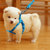 Magideal Adjustab Pet Dog Belt Nyl ad ash Collar Harness Safety Strap Blue