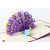 Magideal 3D Pop Up Invitation Greeting Card Valentine Anniversary Birthday Peacock A