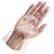 Buy 1 Get 1 Free 100 Pcs Disposable Transparent Clear Plastic Gloves(200pcs)