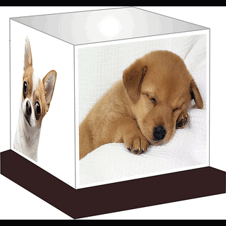                       Adorable Dogs Night Lamp                                              