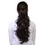 Homeoculture Hair Extension, 18 Inches (Golden)